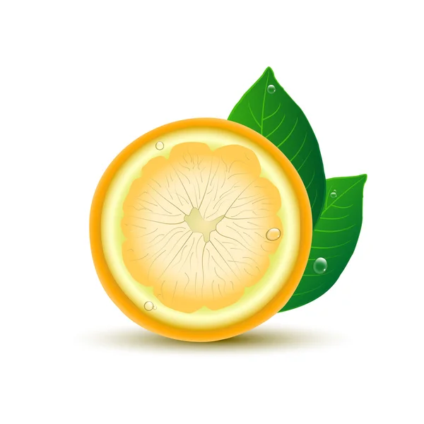 Abstract lemon with leaves and drops on white background.Vector — Stock Vector