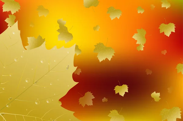 秋の葉秋アートの背景 — ストック写真