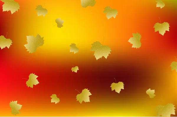 Autumn leaf fall art background — Stock Photo, Image