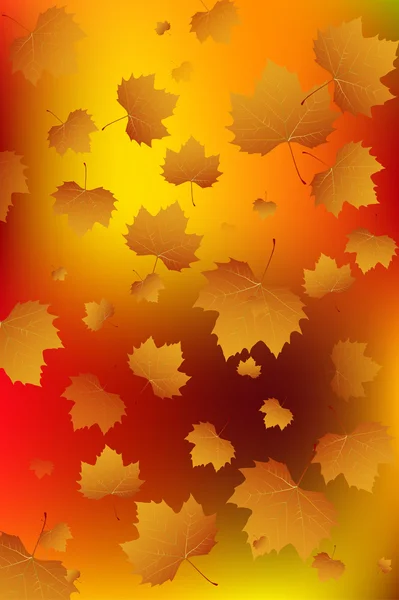 Autumn leaf fall art background — Stock Photo, Image