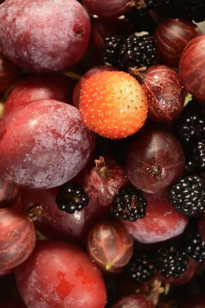 Na tle ogród owoce i jagody — Zdjęcie stockowe