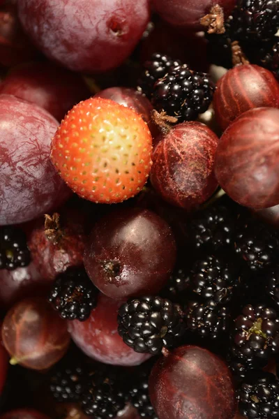 Der Hintergrund der Früchte und Beeren im Garten — Stockfoto