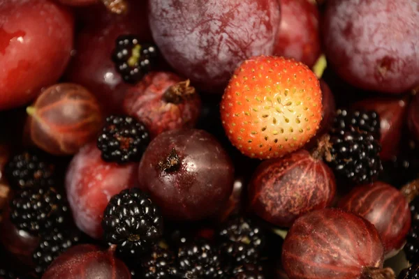 庭の果物や果実の背景 — ストック写真