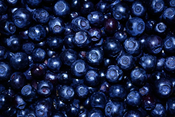 Background blueberries — Stock Photo, Image