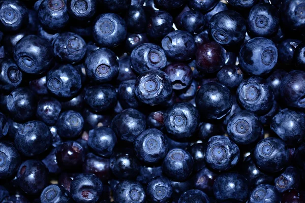 Hintergrund Blaubeeren lizenzfreie Stockbilder