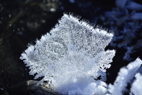 Pluizig crystal frost — Stockfoto