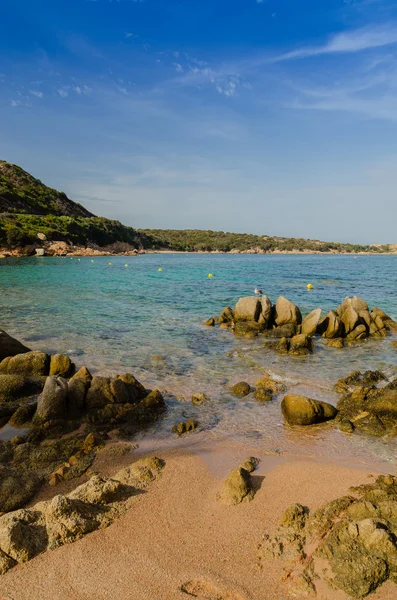 plaj, Sardinya, güneşli bir gün, Ital