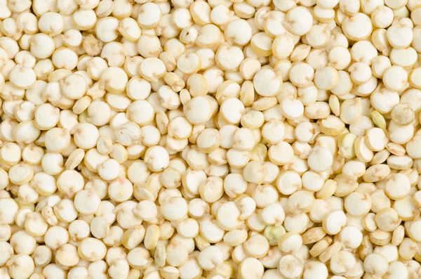 Quinoa closeup, baggrund - Stock-foto