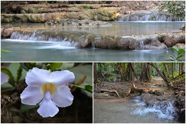 Erawan nationaal park natuur — Stockfoto