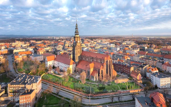 Swidnica Polonya Stanislaus Wenceslaus Cathedra Ile Şehrin Havadan Görünüşü — Stok fotoğraf