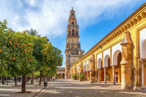 Cordoba Španělsko Pohled Torre Campanario Historická Zvonice Nádvoří Osázené Pomerančovníky — Stock fotografie