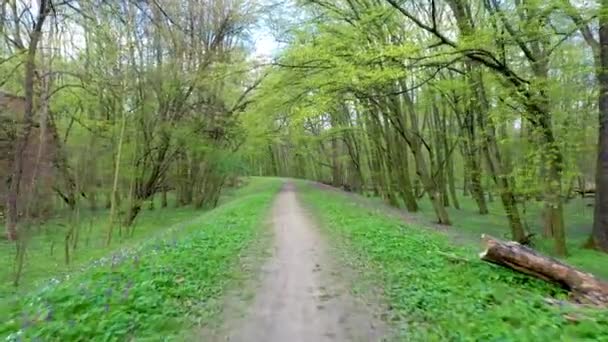 Vliegen Grondwerken Natuurreservaat Zwierzyniec Bij Olawa Polen Uitzicht Vanaf Drone — Stockvideo