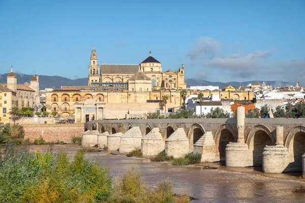 Γέφυρα Puente Romano Και Τέμενος Καθεδρικός Ναός Της Κόρδοβας Ανδαλουσία — Φωτογραφία Αρχείου