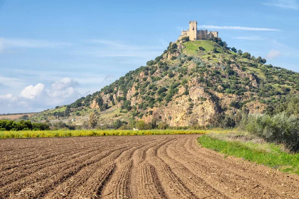 Castillo Almodovar Del Rio Viii Wieczny Mauretański Zamek Szczycie Wzgórza — Zdjęcie stockowe