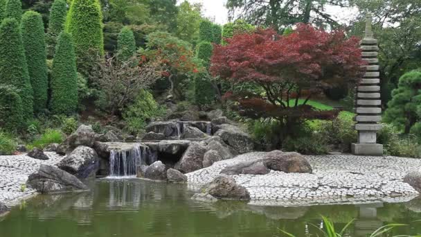 Timelapse video di cascata nel giardino giapponese — Video Stock