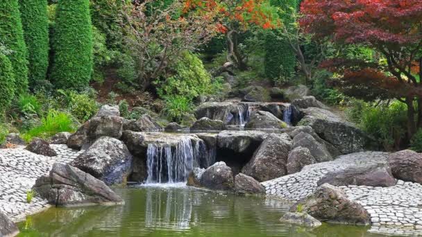 Видеозапись водопада в японском саду — стоковое видео
