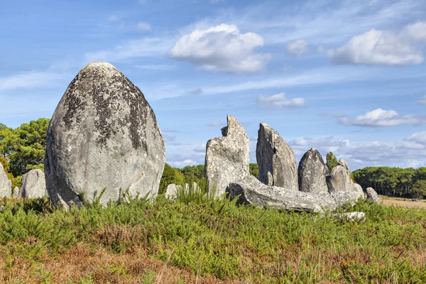 Стоящие камни в Карнаке, Франция . — стоковое фото