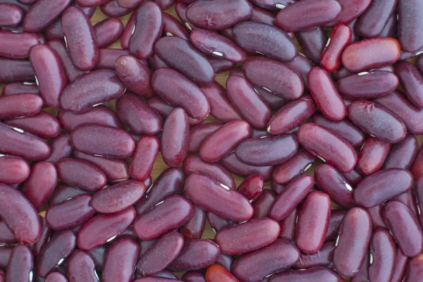 Feijão vermelho escuro — Fotografia de Stock