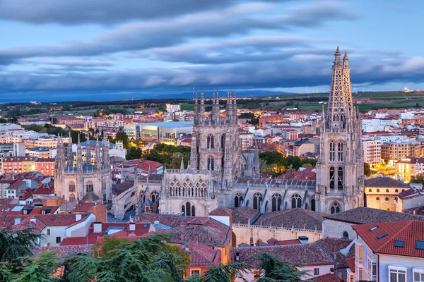 Blick vom Hügel auf die Kathedrale von Burgos — Stockfoto