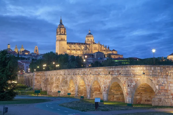 Salamanca şehrinde yeni Katedrali ile Romana köprü — Stok fotoğraf