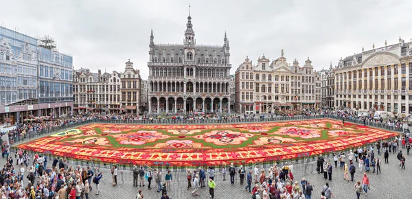 Цветочный ковер собрался на площади Гран-Плас в Брюсселе — стоковое фото