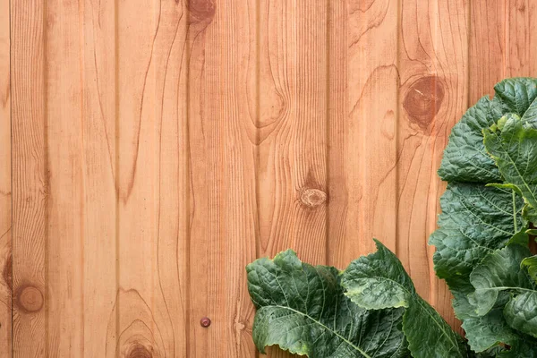 Természetes Fából Készült Háttér Egy Növény Keret Táj Tájolás Negatív — Stock Fotó