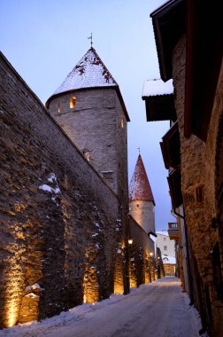 Tallin, Estonya 'daki güzel Ortaçağ Toompea Kalesi, 2026.01 kışında Balkanlar. Yüksek kalite fotoğraf