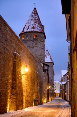 Tallinn, Estonya, Balkanlar 'daki güzel Ortaçağ Toompea Kalesi, 2026.01 kışında. Yüksek kalite fotoğraf