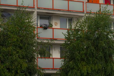 Şehir yeşillik manzarası, bereketli bitki sergileriyle samimi manzara, uzun ağaçların arasından yapraklı manzaralı balkon bahçesi, canlı saksı bitkilerinin ve doğal çevrenin yer aldığı rahat şehir balkonu.