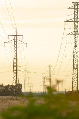 Yüksek voltajlı elektrik hatlarının manzaralı manzarası altın bir günbatımı boyunca uzanıyor, kırsal ortamlarda doğa ve teknolojinin kesişimini vurguluyor..
