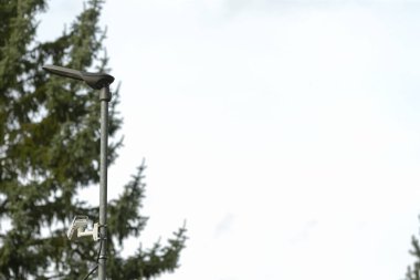 Yeşillik, bereketli ağaçlar ve hafif ışıklandırma içeren sakin şehir manzarası ağaçlar ve klasik sokak lambaları gibi doğal elementlerle vurgulanan sakin kentsel ortam.