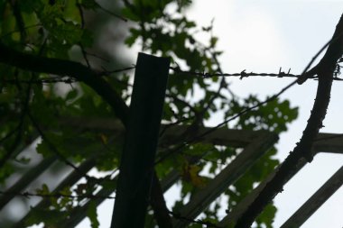 Fırtınalı atmosferi olan güvenlik bariyeri muhafaza duygusunu arttıran, kaygı verici gökyüzüne karşı koruyucu çitlerin detaylı görüntüsü ayrılığı vurguluyor ve temaları koruyor