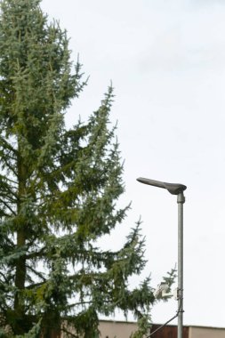 Lamba başlığı uzun kozalaklı gökyüzüne karşı, küçük bej bina şeridi ve bulutlu gün ışığı, açılı metal kol ve ağaç silueti, sakin şehir parkı perspektifi, ışıklandırma tasarımı ve bakım hikayesi