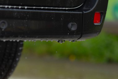 Parlak tampon parlıyor, koyu yüzeyde parlayan damlacıklar, parlak su boncuklarıyla parlayan siyah tampon, zarif siyah tampon su damlacıklarının arasında canlı yeşil bokeh ambiyansı arasında ışık yansıtıyor.