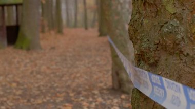 Polis bandı ağacın çevresine sarılmış, ağaçlar kordon altına alınmış ve dağınık yapraklar gergin, ürkütücü bir atmosfer yaratıyor. Dedektifler olay yerini emniyete alıyor, yosunlu ağaç kabuğu ve nemli orman zeminini görülebilir hale getiriyor.,