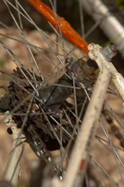 Çamur, enkaz, dişli ve zincirle tıkanmış arka kaset, bakım gereksinimi ve dayanıklılığın vurgulandığı off-road sonrası..