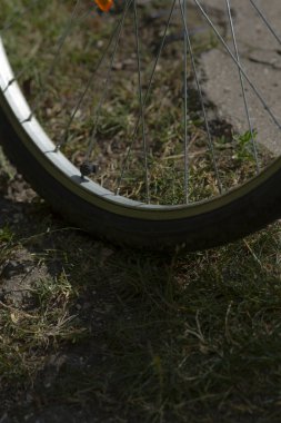 Kapalı bisiklet tekerleği yaz çimlerinde dinleniyor, yumuşak güneş ışığı lastik ve jantı vurguluyor, rahatlamış eğlence havası yaşam tarzı, piknik ve yavaş kentsel hareketlilik hikayeleri için ideal..