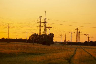 Elektrik direkleri ve seyrek ağaçlarla kaplı arazide alacakaranlık, güç hatlarını ve uzak ağaçları aydınlatıyor, canlı günbatımında kehribar ışığı saçıyor elektrik direkleriyle benekli ve seyrek ormanlık alanlarda.