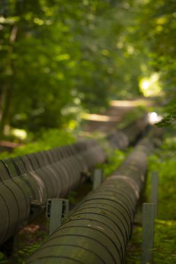 Odaklanmış denetim kurulumu, teknisyen hazırlığı sırasında kaydedilen bulanık dikey boru hattı, yakın çekim teknisyenlerin sıkı düzenlenmiş boru hattında uzaktan denetleme yapmaları vurgulandı