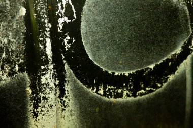 Metal üzerinde büyük dairesel boya izi, yumuşak yuvarlak iz koyu yeşil haleli ve siyah pullu, dokunsal aşınmış iz gezegen yüzeyini veya endüstriyel şablonu çağrıştırıyor.