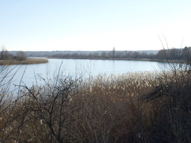 Nereye Tuna gökyüzü kisses