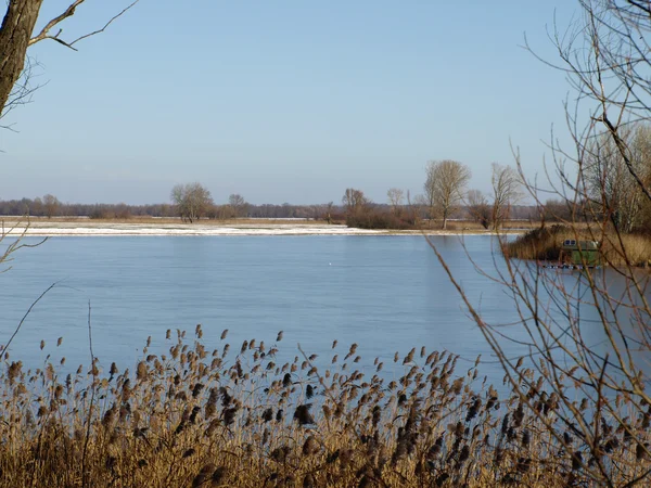 Où le Danube embrasse le ciel — Photo