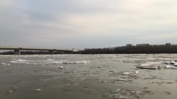 Pohyb ledu podél řeky na podzim na Sibiři. — Stock video