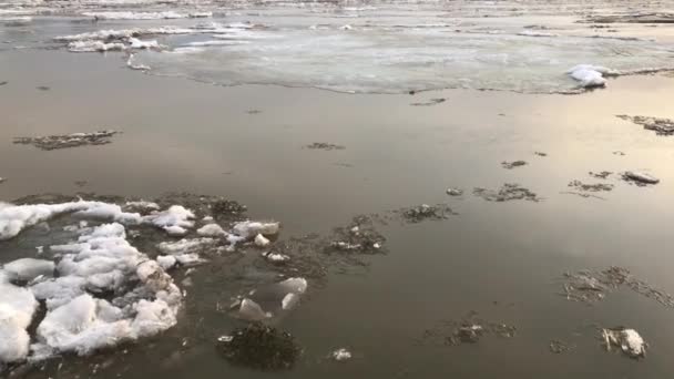 Ice movement along a river in autumn in siberia. — Stock Video