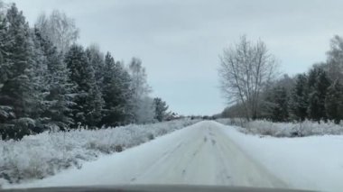 Karla kaplı ormanın arasında bir araba yolculuğu..