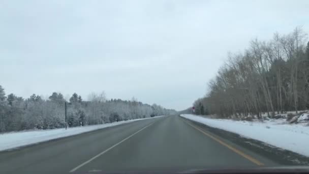 Um passeio de carro na estrada entre a floresta coberta de neve. — Vídeo de Stock