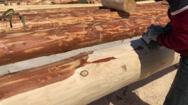 Bir adam ağaç kabuğundan bir kütüğü öğütme makinesiyle öğütür..