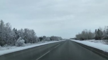 Karla kaplı ormanın arasında bir araba yolculuğu..