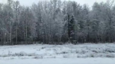 Karla kaplı ormanın arasında bir araba yolculuğu..