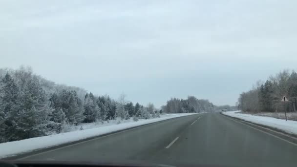 En biltur på vägen bland den snötäckta skogen. — Stockvideo